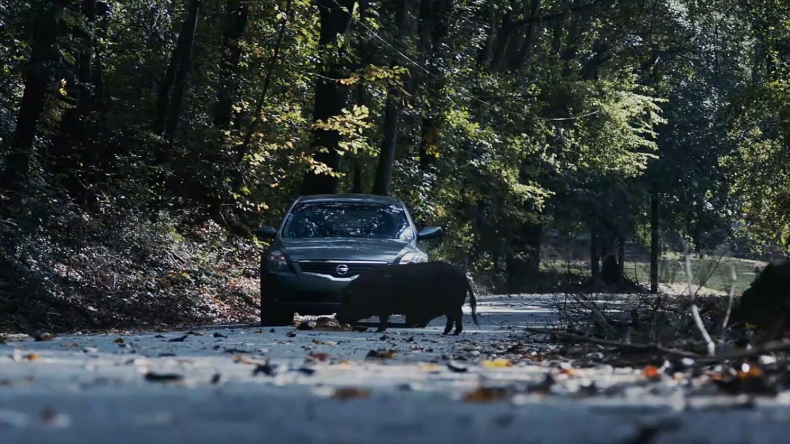 Atlanta Season 2 Episode 4 Review: “Helen“