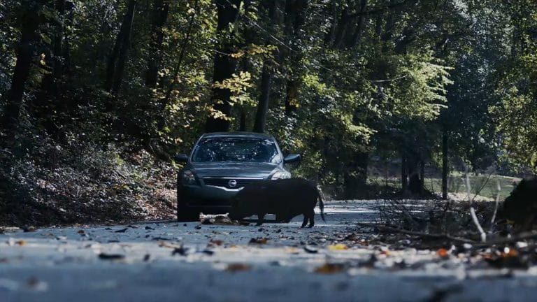 Atlanta Season 2 Episode 4 Review: “Helen“