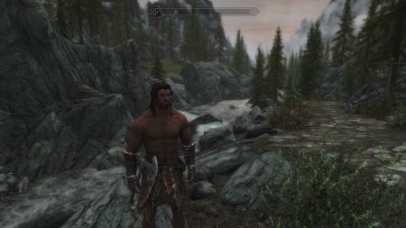 Skyrim: The World's Okayest Game