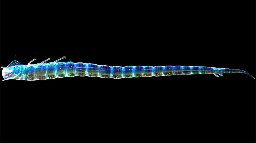 Subnautica Below Zero