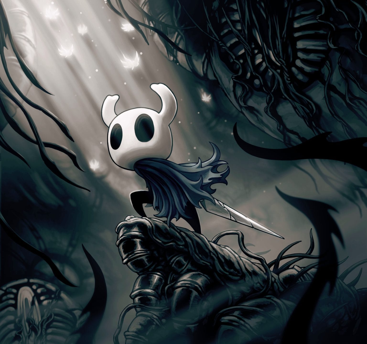 Hollow Knight game