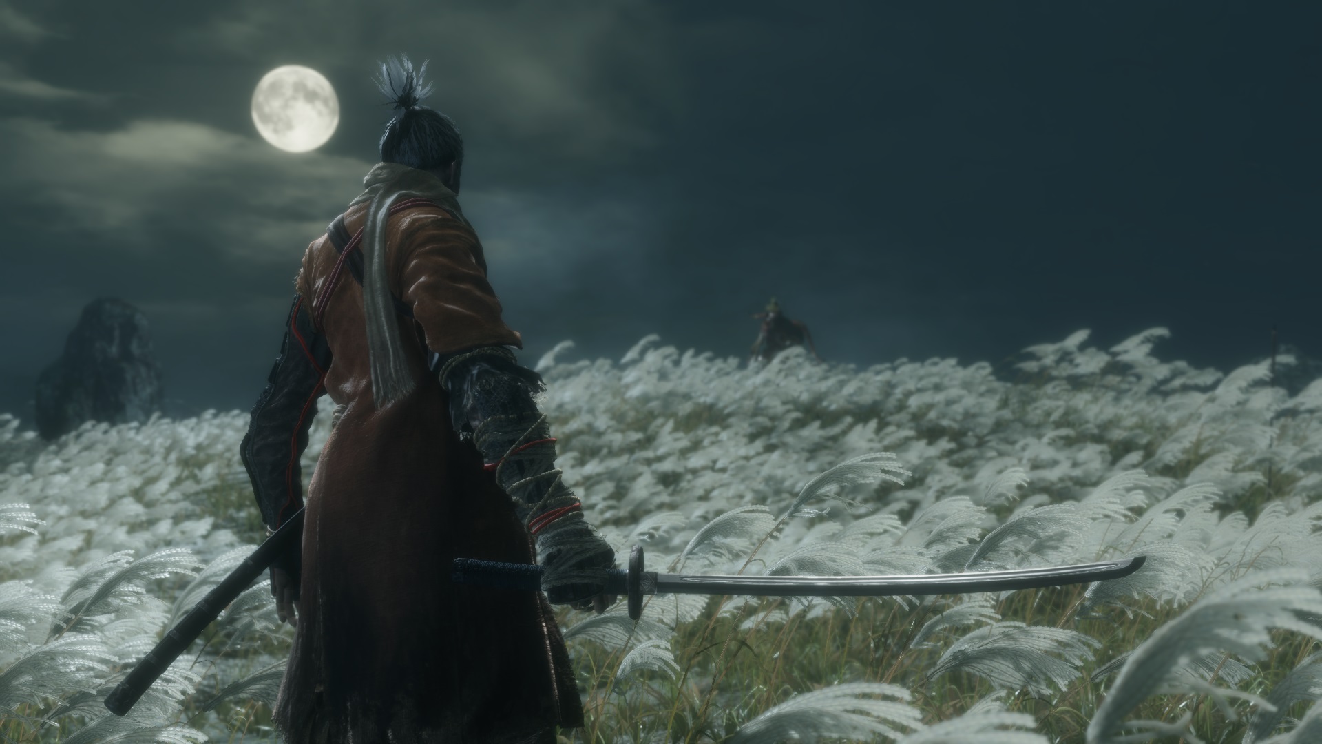 Sekiro: Shadows Die Twice Genichiro fight