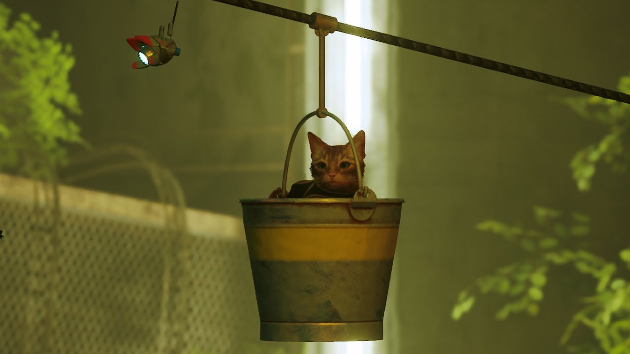 Stray' Cat Video Game Helps Real Cats