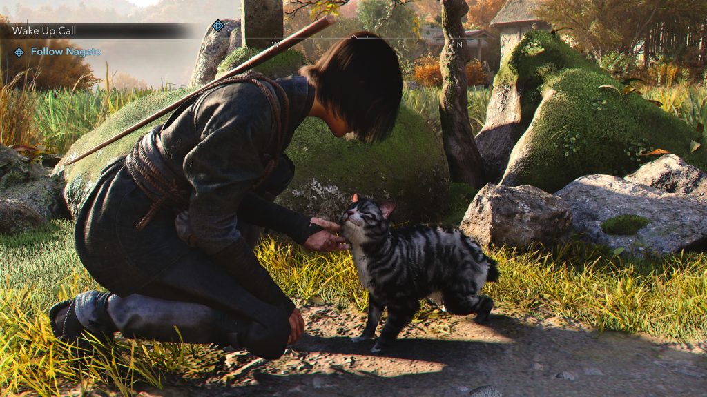 Assassin's Creed Shadows - Naoe putting a cat