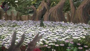 Bye Sweet Carole Review - gameplay screenshot of Lana Benton walking through a field of white flowers