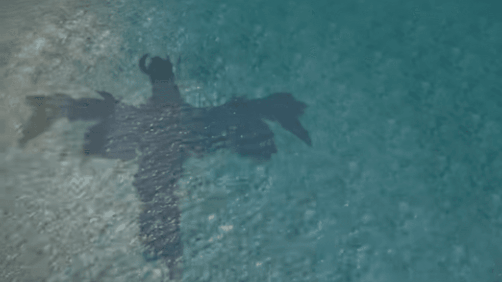 The shadow of Arkveld flying over an ocean in Monster Hunter Wilds