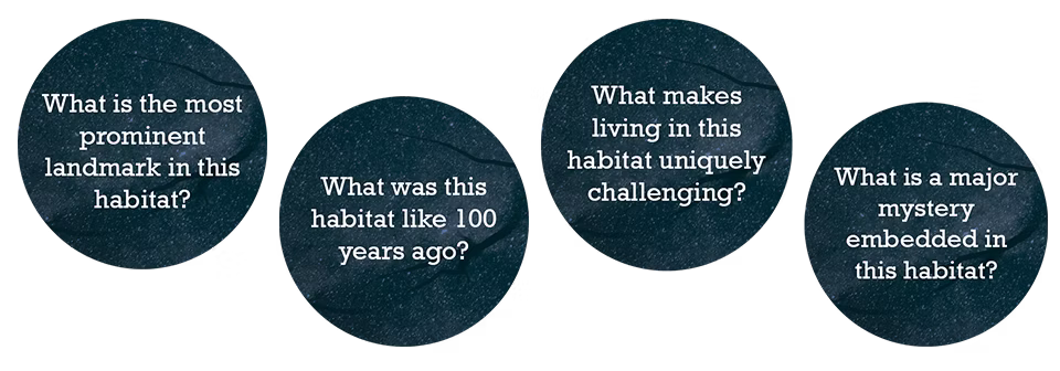 A screenshot from the Assemblage BackerKit campaign showing questions from the Exploration section, such as, "What is the most prominent landmark in this habitat?" Featured in an Assemblage TTRPG review.